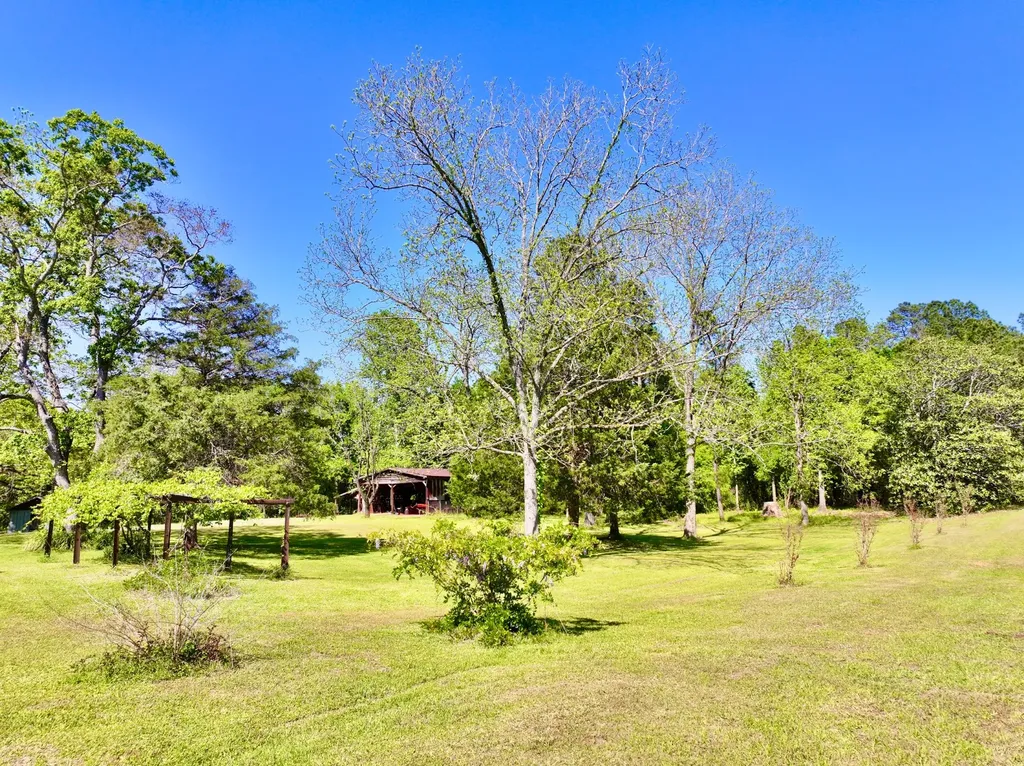 1418 Hebron Road Grove Hill AL 36451