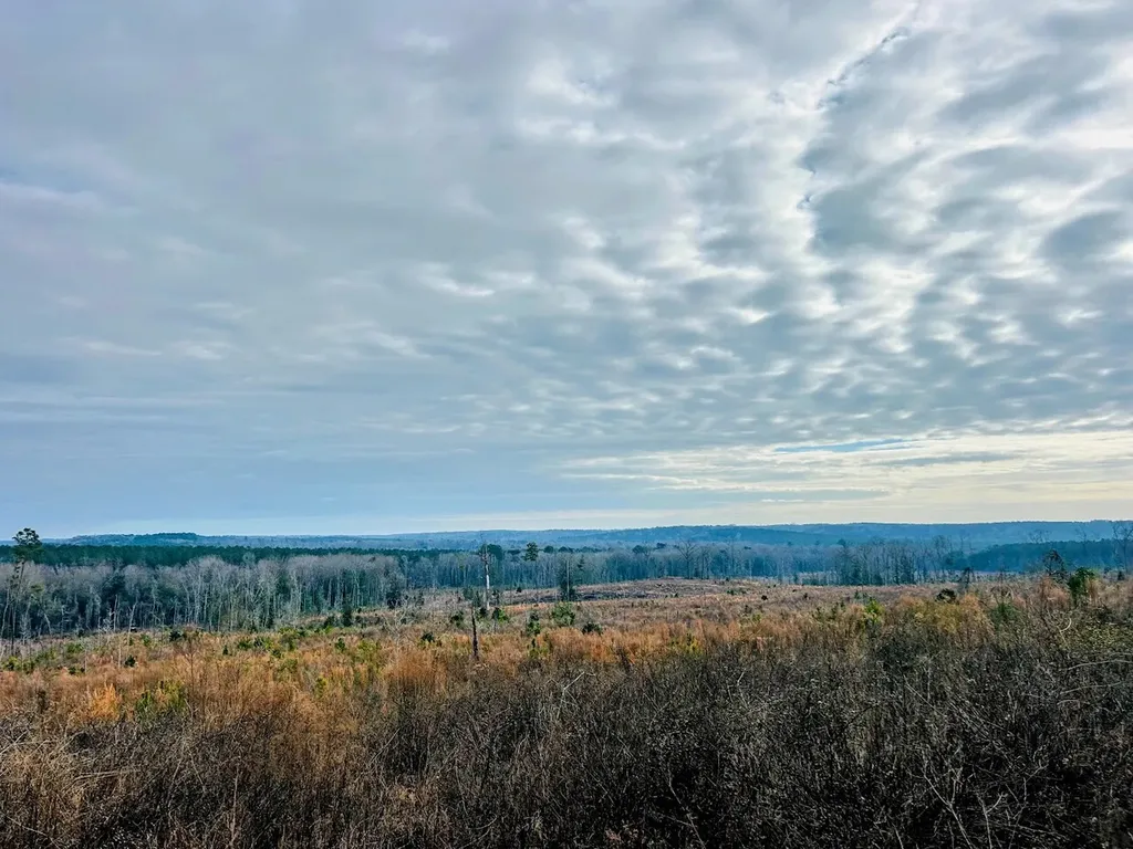 0 County Road 309 Tract A Skipperville AL 36374