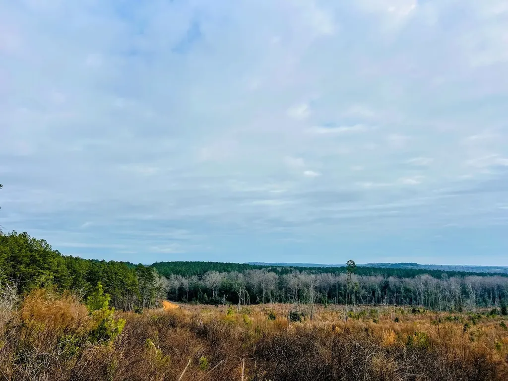 0 County Road 309 Tract A Skipperville AL 36374