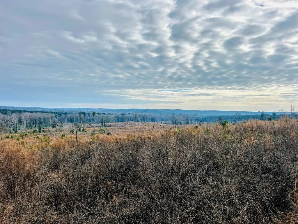 0 County Road 309 Tract A Skipperville AL 36374