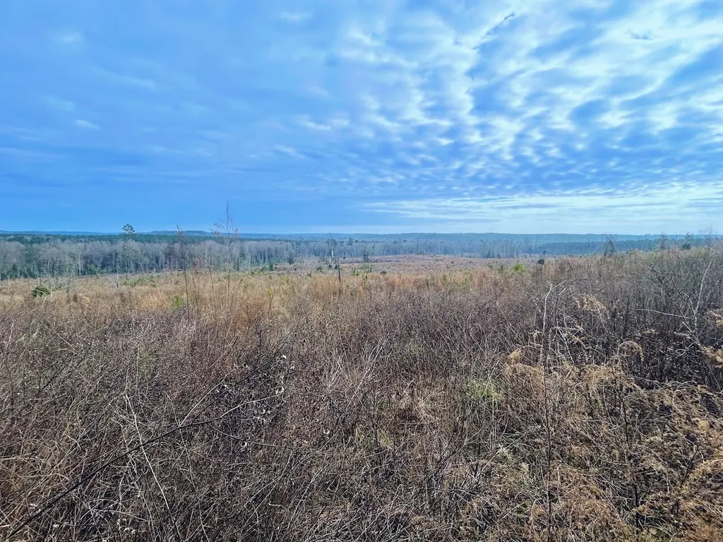 0 County Road 309 Tract A Skipperville AL 36374