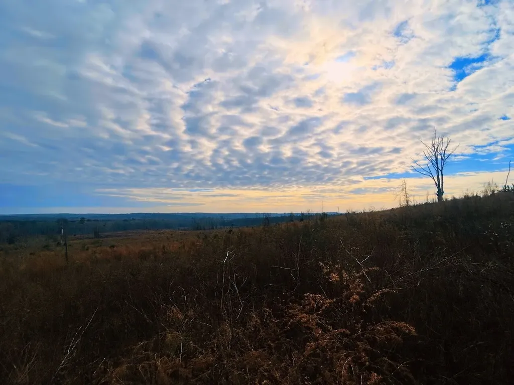 0 County Road 309 Tract A Skipperville AL 36374