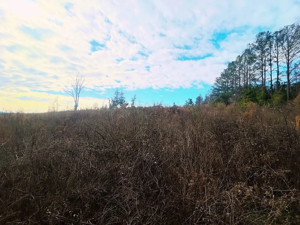 0 County Road 309 Tract A Skipperville AL 36374