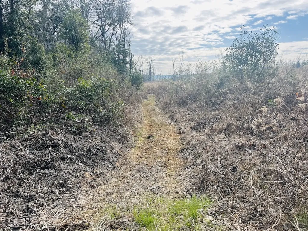 0 County Road 309 Tract A Skipperville AL 36374