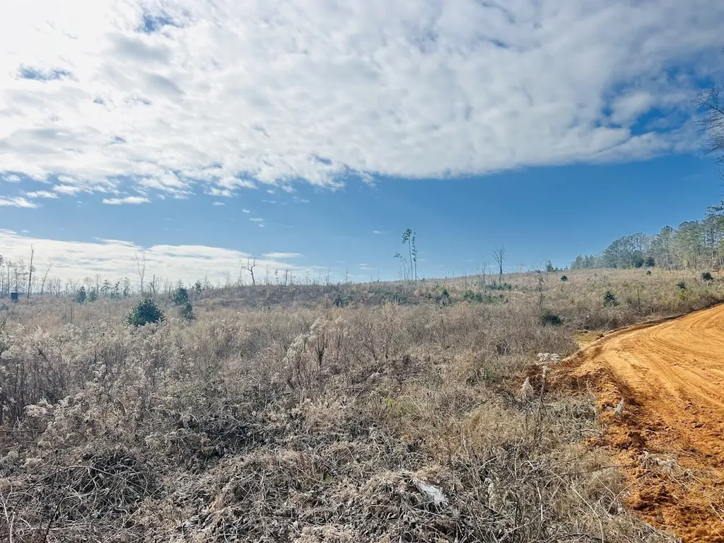 0 County Road 309 Tract A Skipperville AL 36374