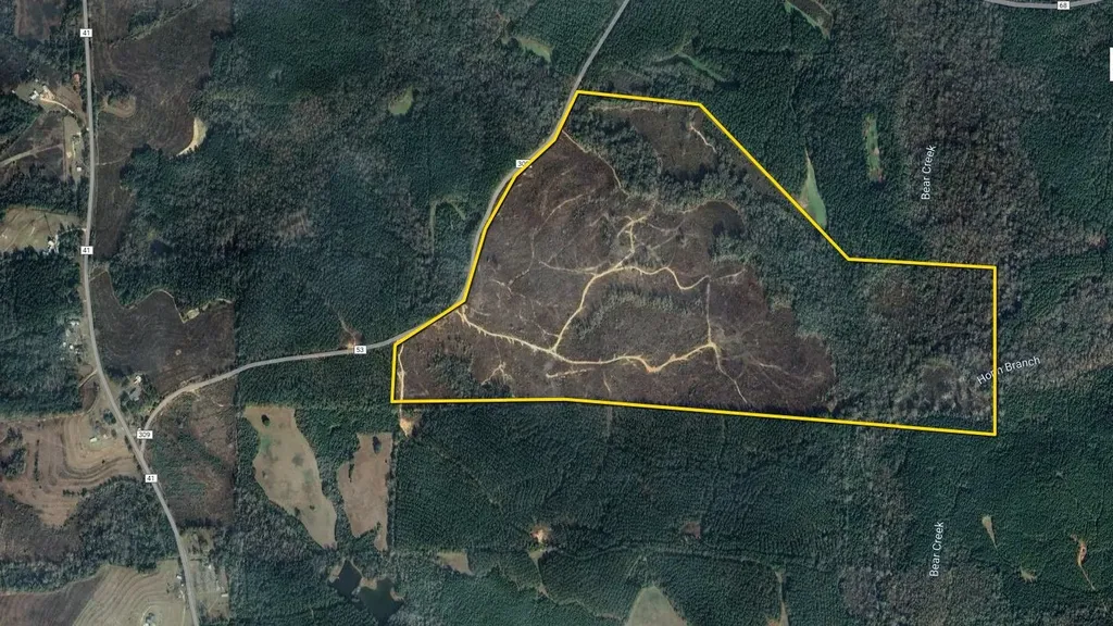 0 County Road 309 Tract A Skipperville AL 36374