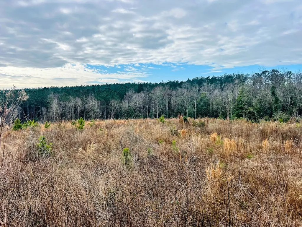 0 County Road 309 Tract A Skipperville AL 36374