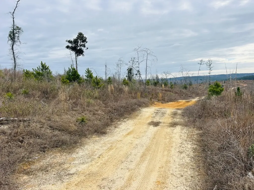 0 County Road 309 Tract A Skipperville AL 36374