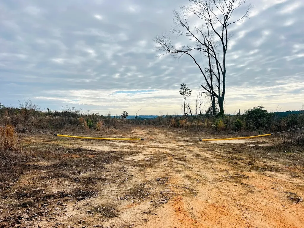 0 County Road 309 Tract A Skipperville AL 36374