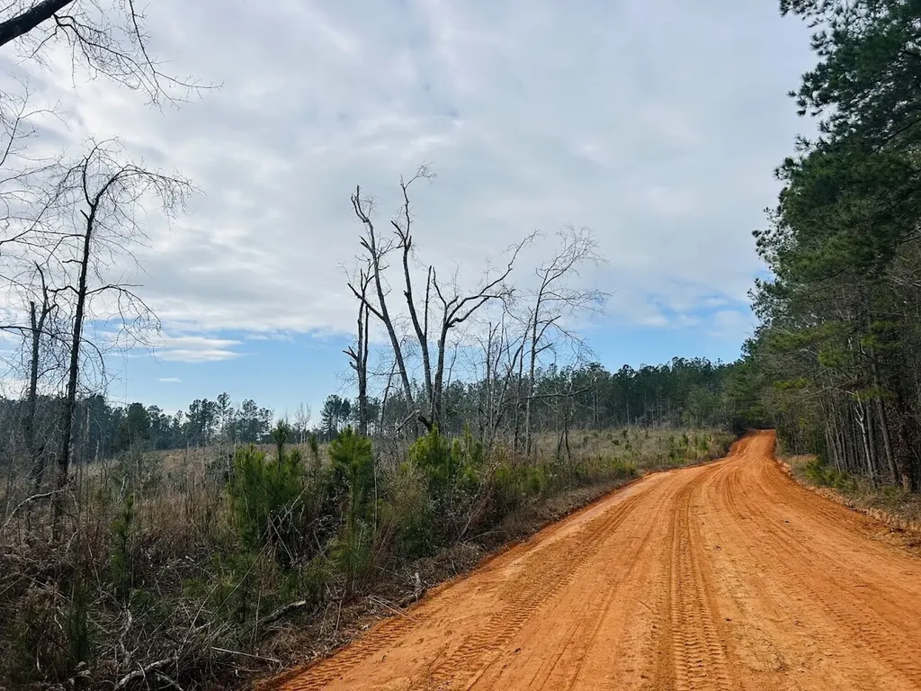 0 County Road 309 Tract A Skipperville AL 36374