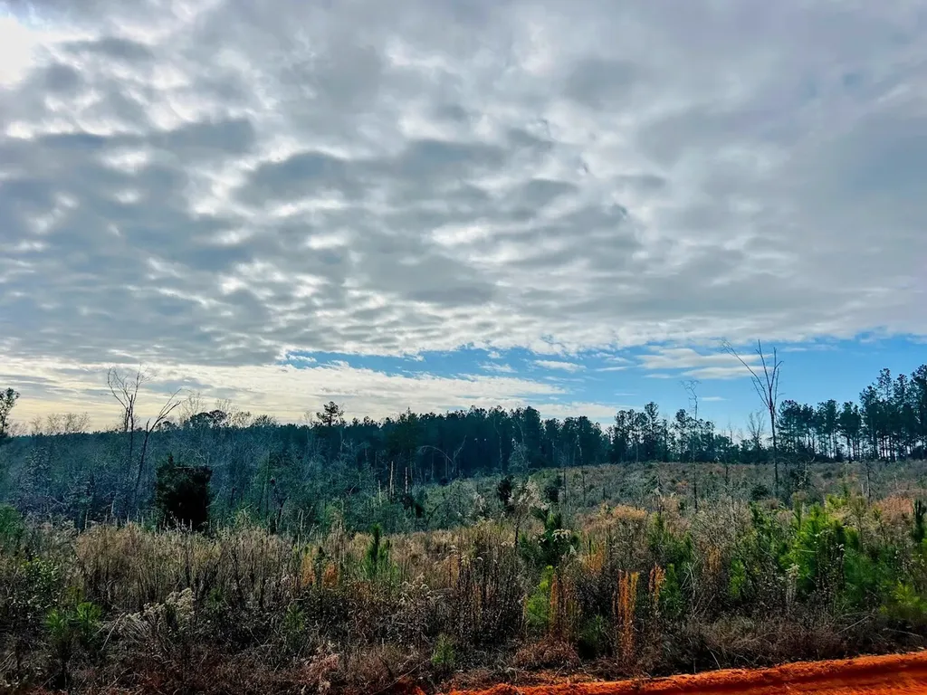 0 County Road 309 Tract A Skipperville AL 36374