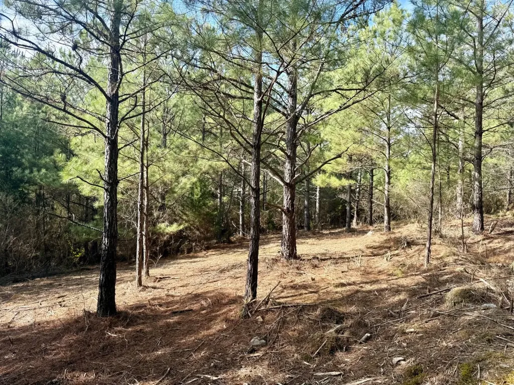 0 Waldrop Road Jasper AL 35503