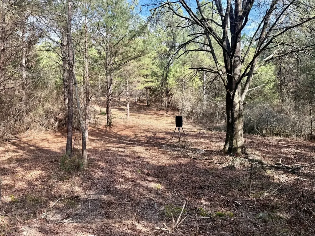 0 Waldrop Road Jasper AL 35503