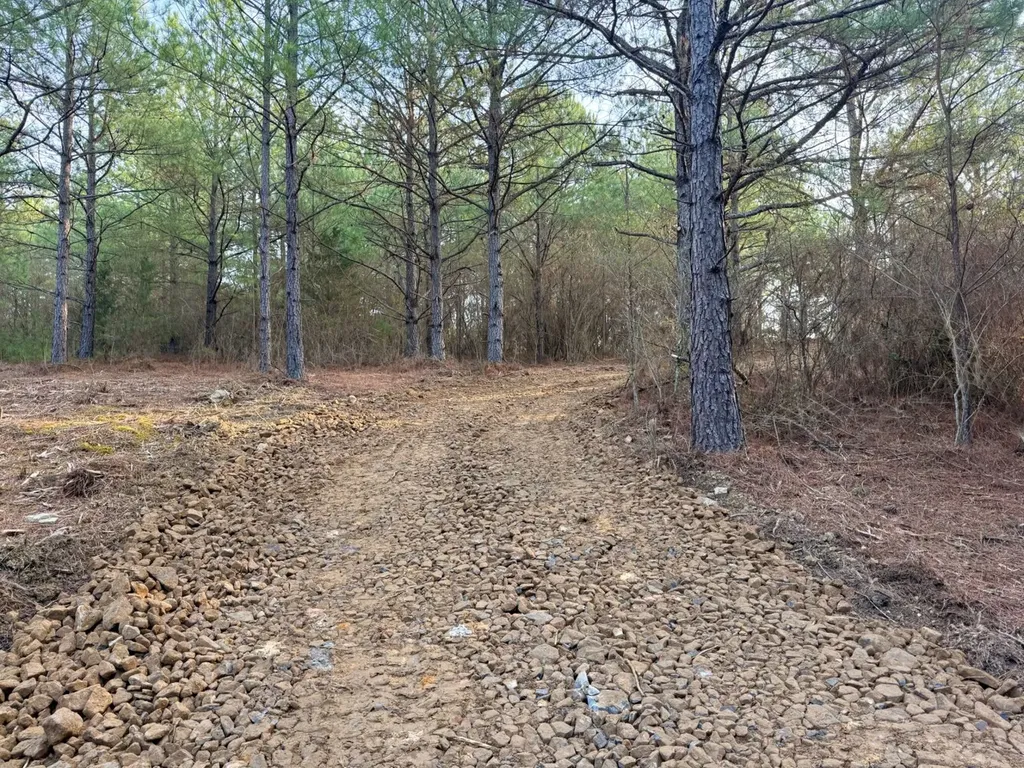 0 Waldrop Road Jasper AL 35503