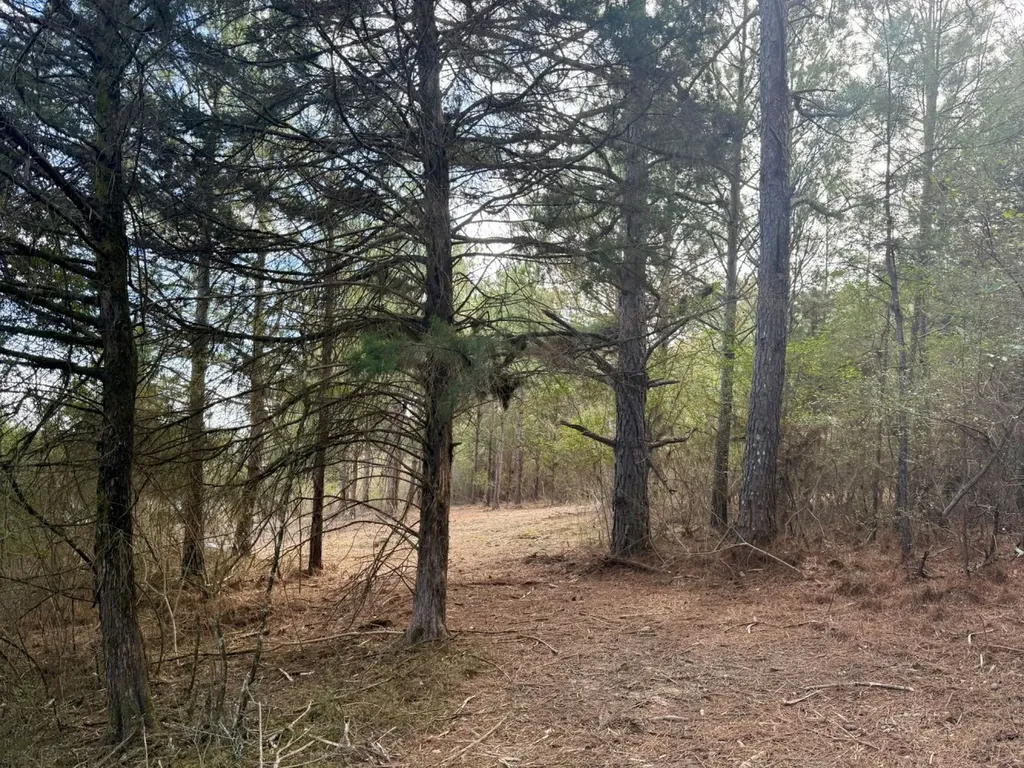 0 Waldrop Road Jasper AL 35503