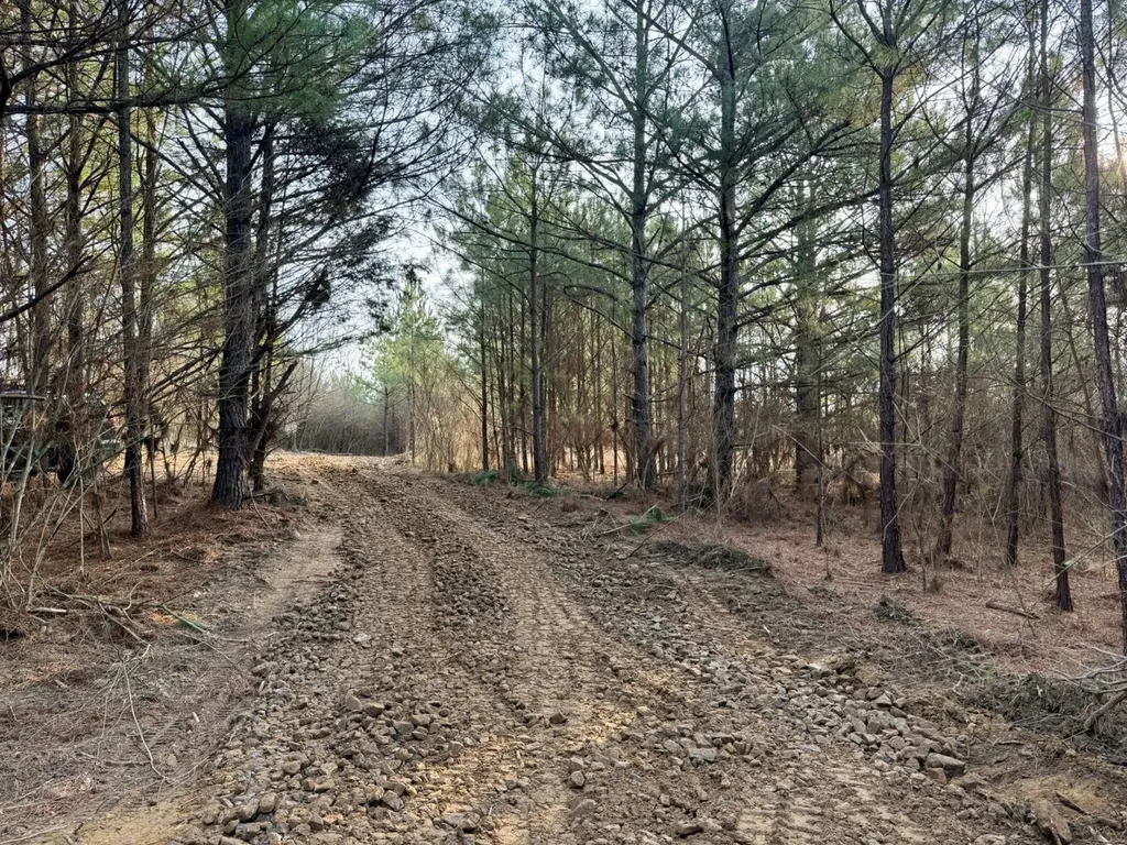 0 Waldrop Road Jasper AL 35503