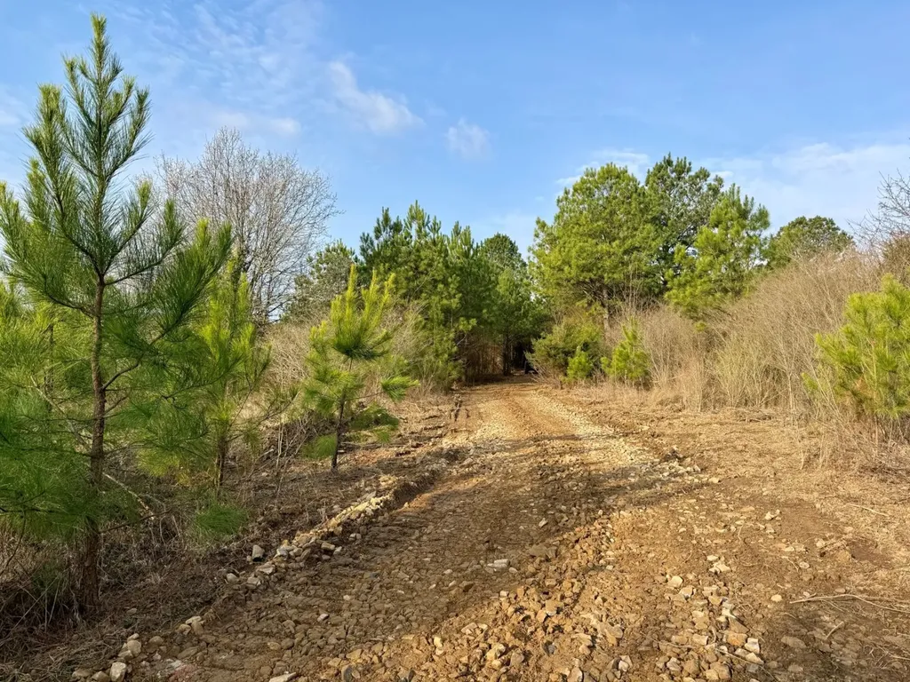 0 Waldrop Road Jasper AL 35503