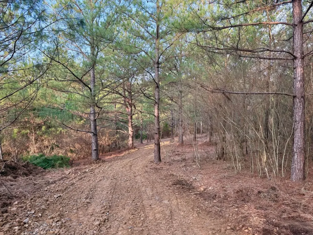 0 Waldrop Road Jasper AL 35503