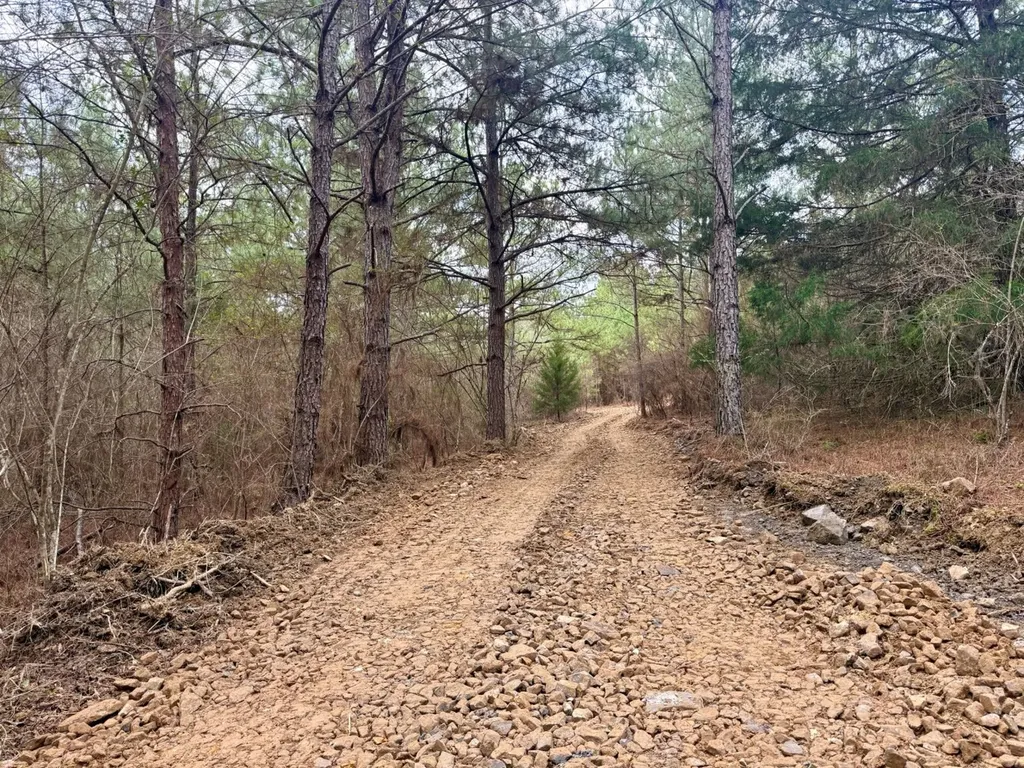 0 Waldrop Road Jasper AL 35503