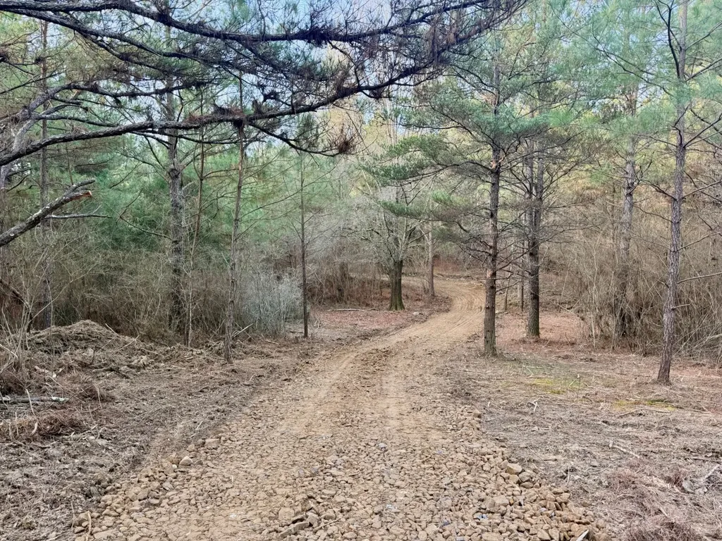 0 Waldrop Road Jasper AL 35503