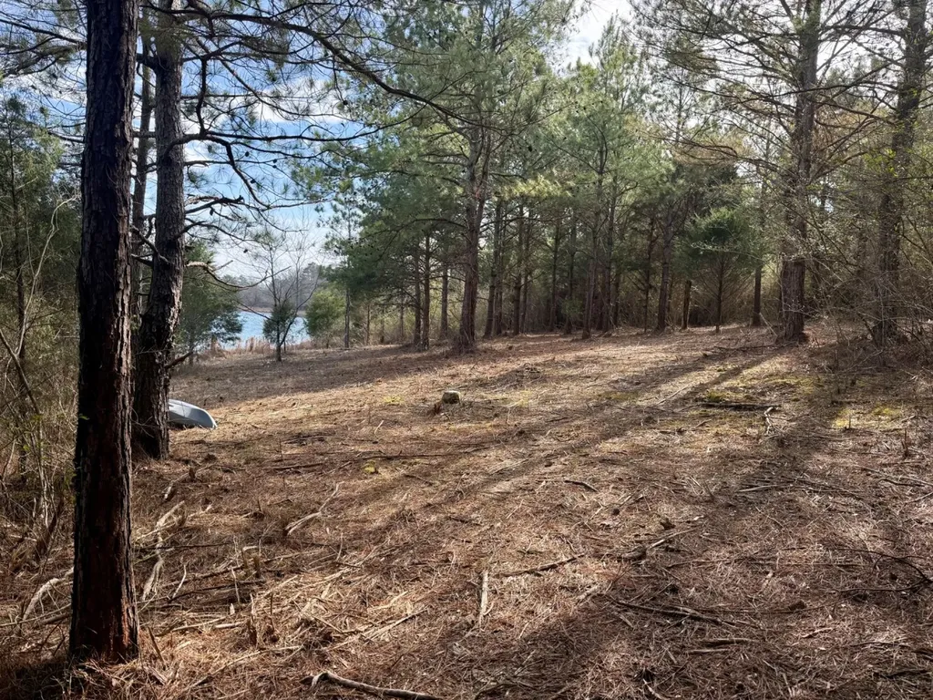 0 Waldrop Road Jasper AL 35503