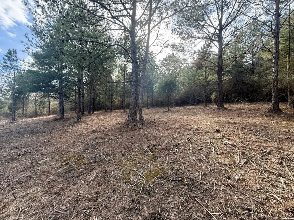 0 Waldrop Road Jasper AL 35503