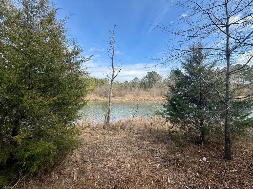 0 Waldrop Road Jasper AL 35503