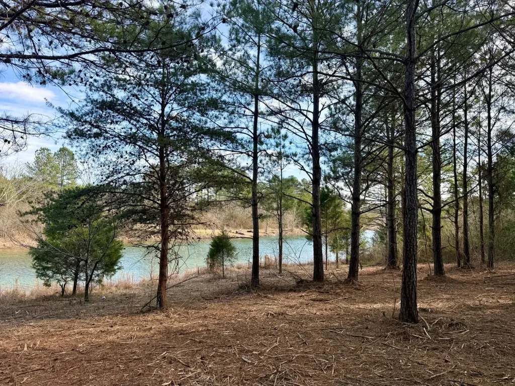 0 Waldrop Road Jasper AL 35503