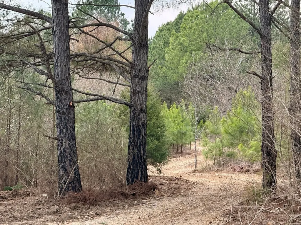 0 Waldrop Road Jasper AL 35503