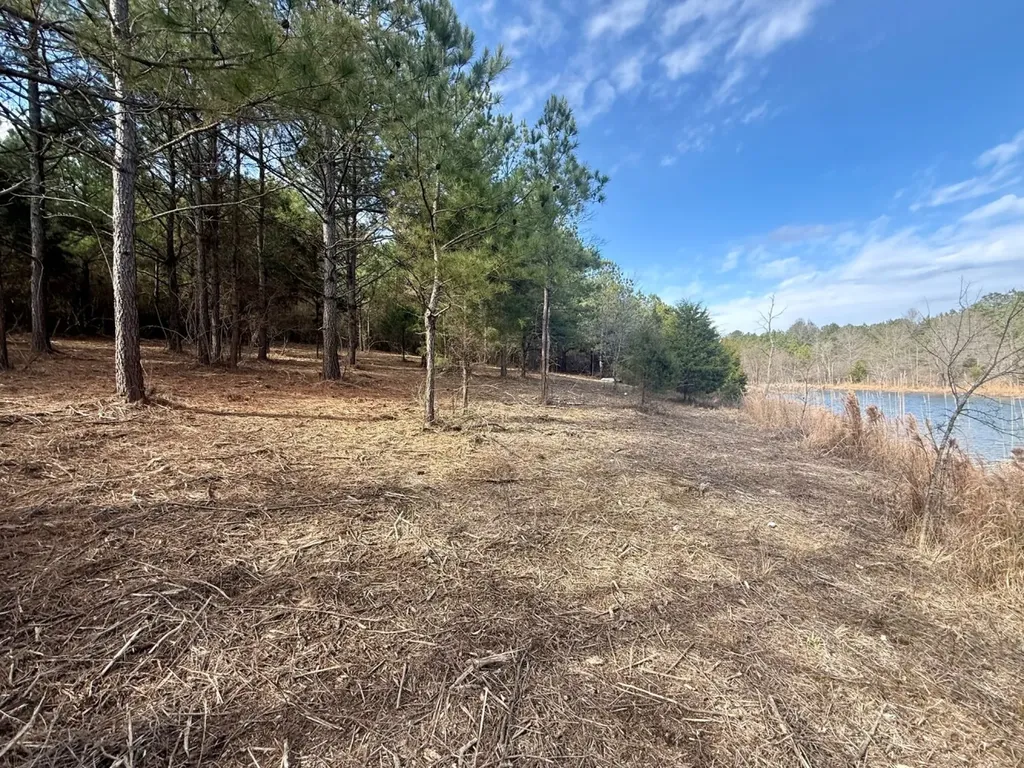 0 Waldrop Road Jasper AL 35503