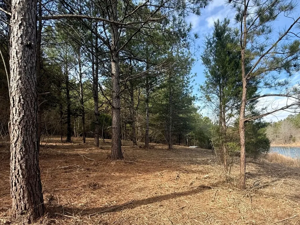 0 Waldrop Road Jasper AL 35503