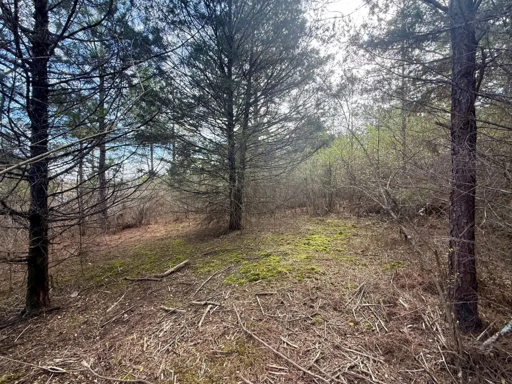 0 Waldrop Road Jasper AL 35503