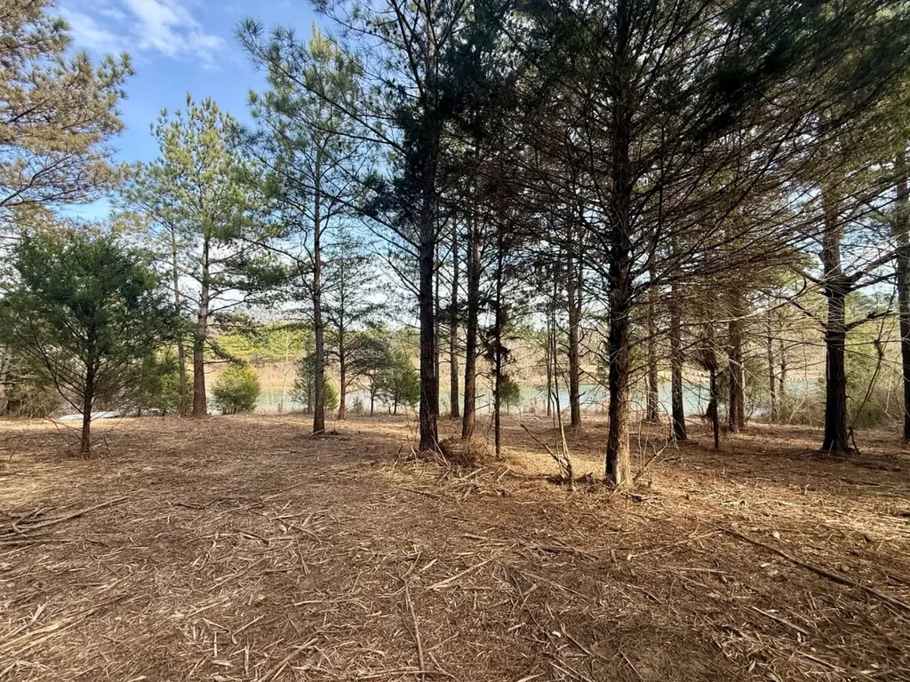 0 Waldrop Road Jasper AL 35503