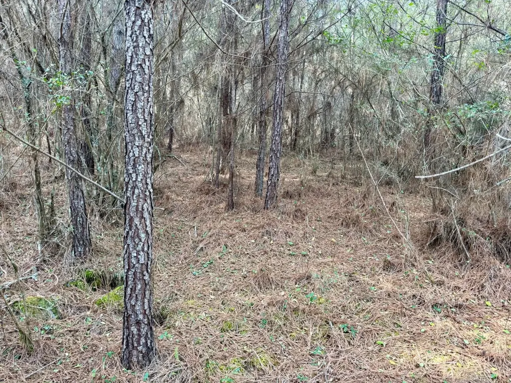 0 Waldrop Road Jasper AL 35503