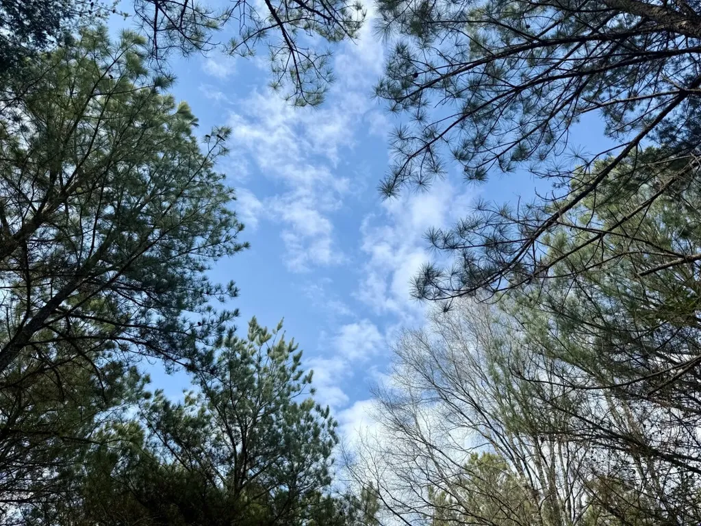 0 Waldrop Road Jasper AL 35503