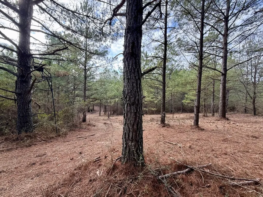0 Waldrop Road Jasper AL 35503