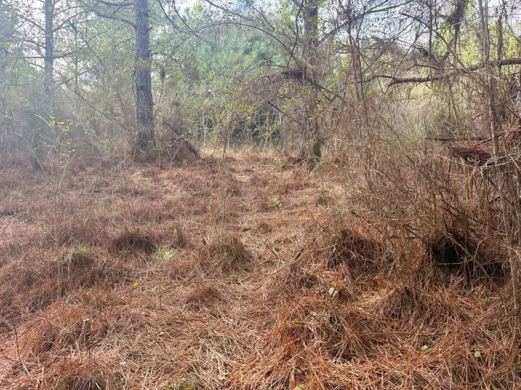 0 Waldrop Road Jasper AL 35503