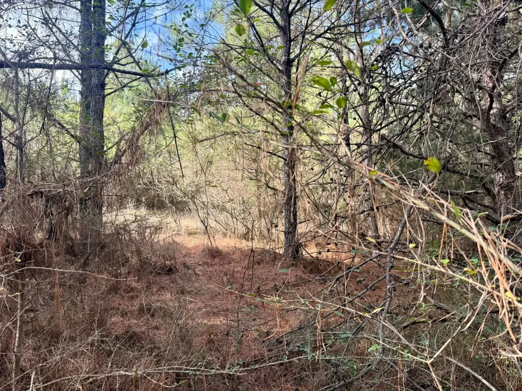 0 Waldrop Road Jasper AL 35503