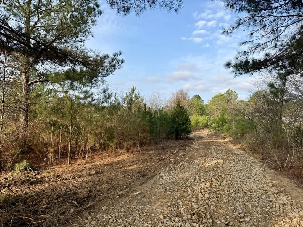 0 Waldrop Road Jasper AL 35503