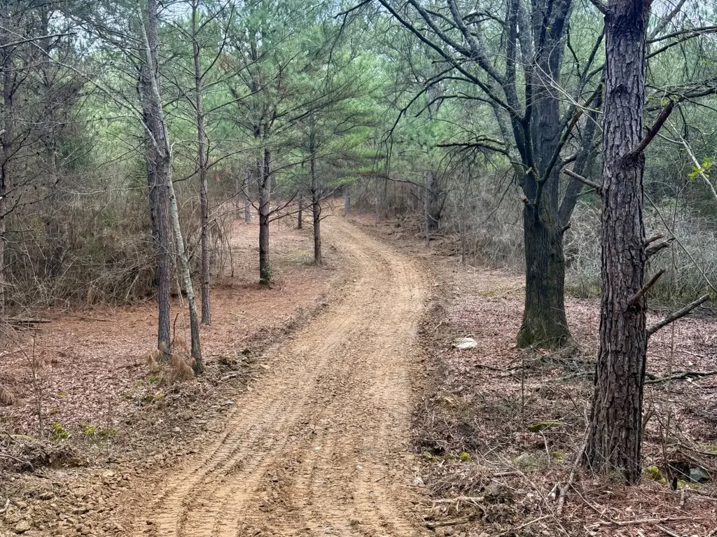 0 Waldrop Road Jasper AL 35503