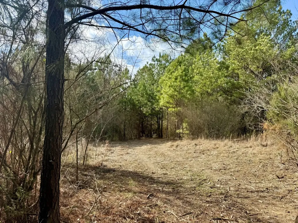 0 Waldrop Road Jasper AL 35503