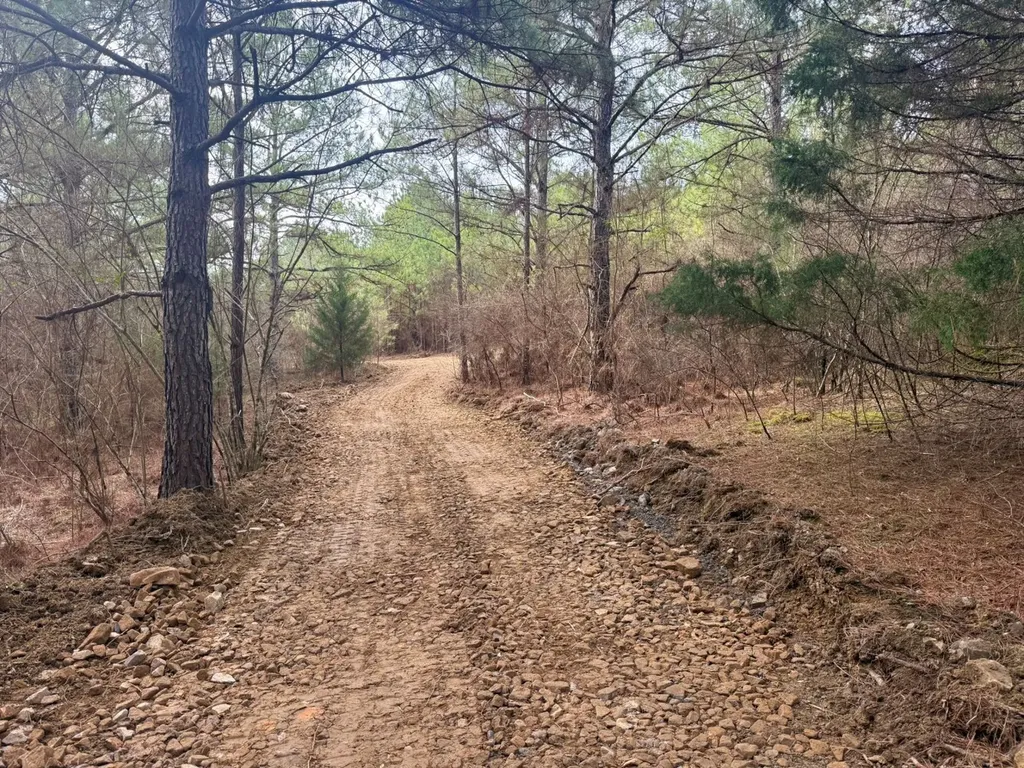 0 Waldrop Road Jasper AL 35503