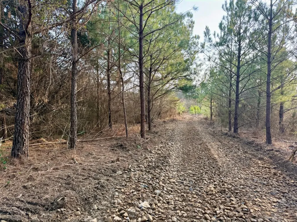 0 Waldrop Road Jasper AL 35503