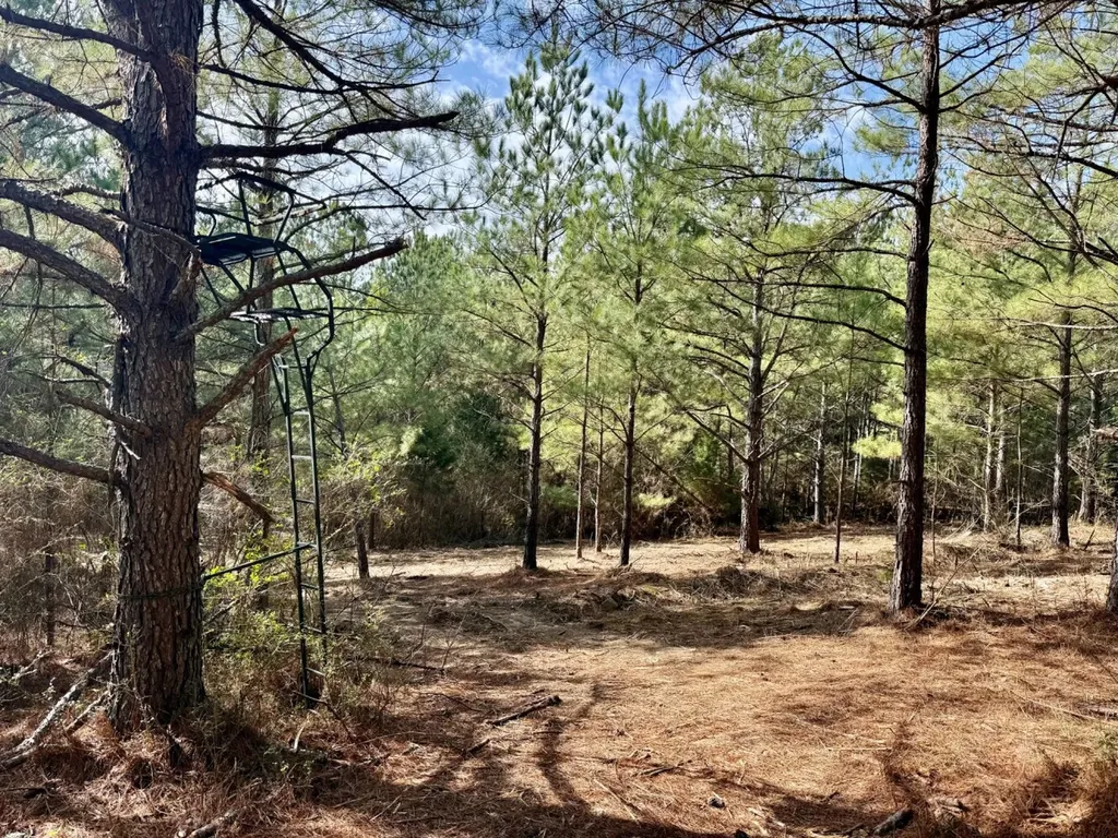 0 Waldrop Road Jasper AL 35503