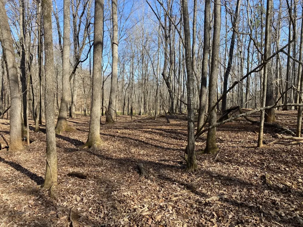 27550 Alabama 25 Wilsonville AL 35186