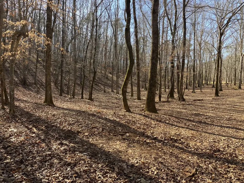 27550 Alabama 25 Wilsonville AL 35186