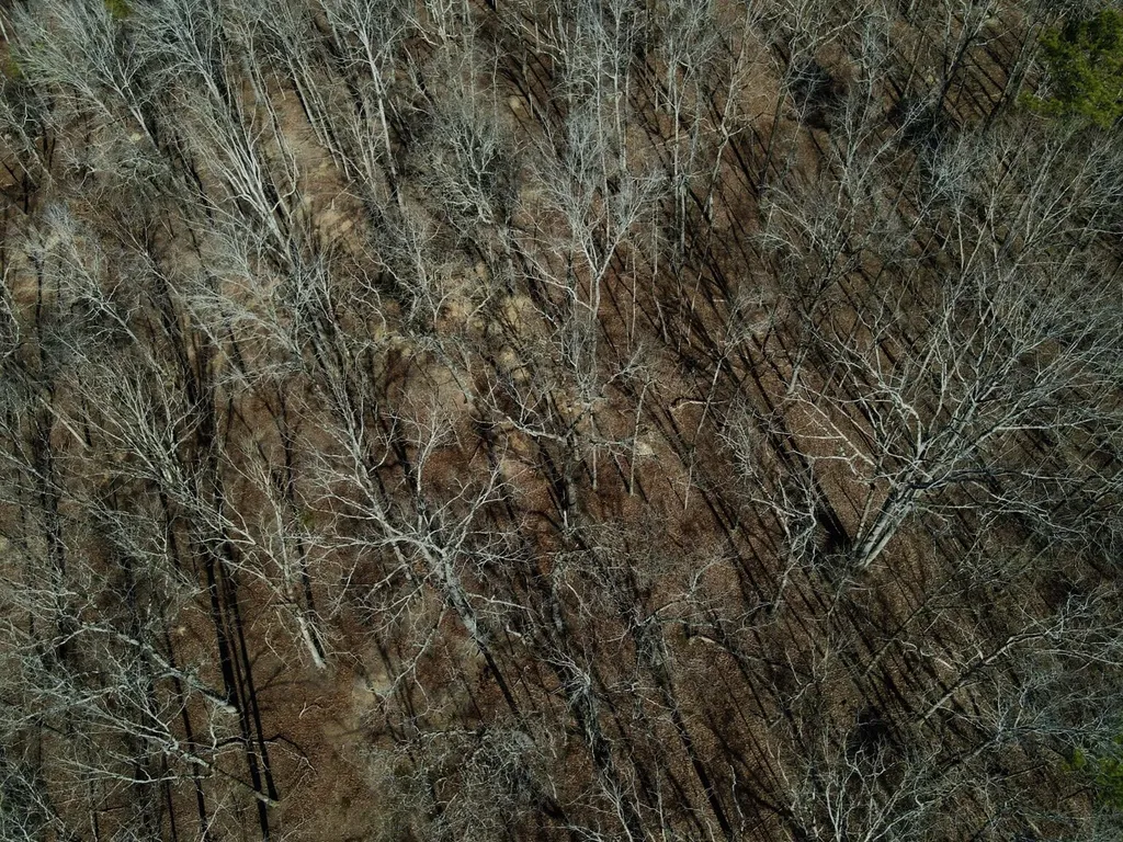 27550 Alabama 25 Wilsonville AL 35186