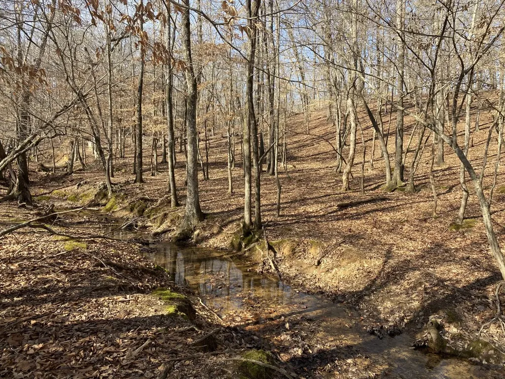 27550 Alabama 25 Wilsonville AL 35186