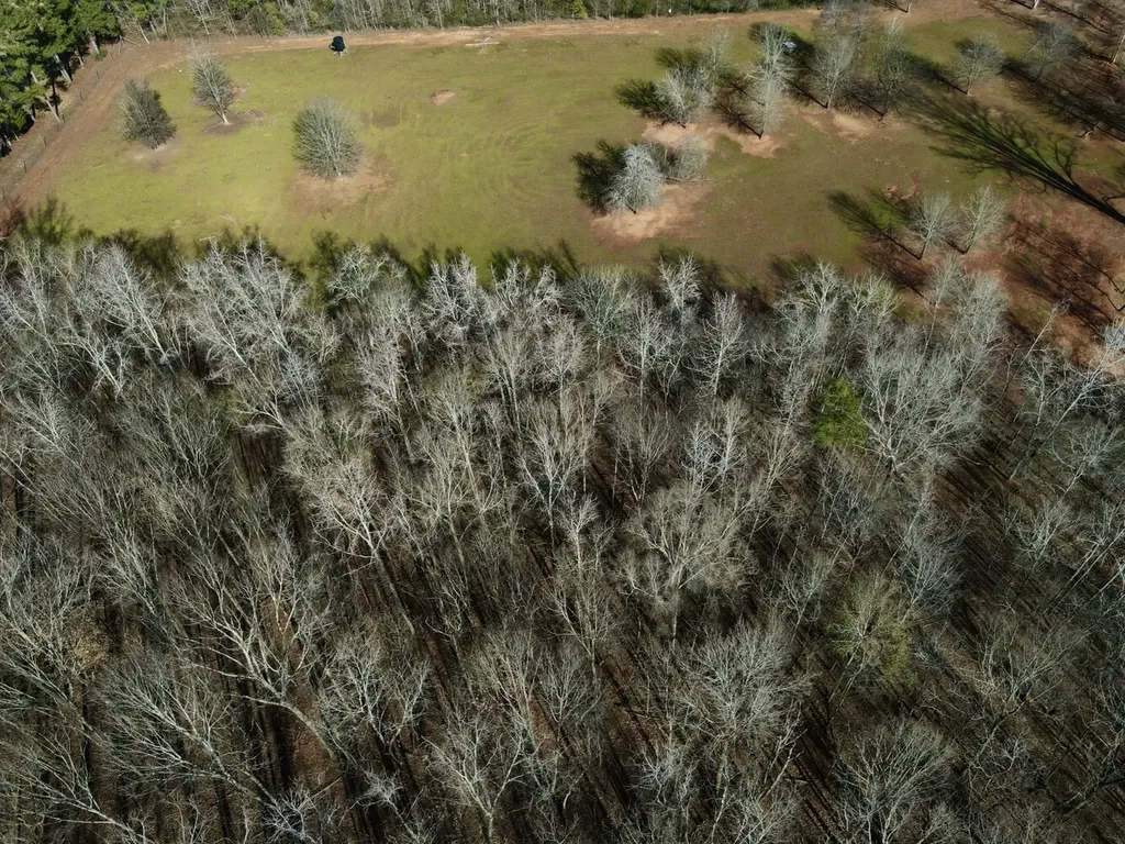 27550 Alabama 25 Wilsonville AL 35186