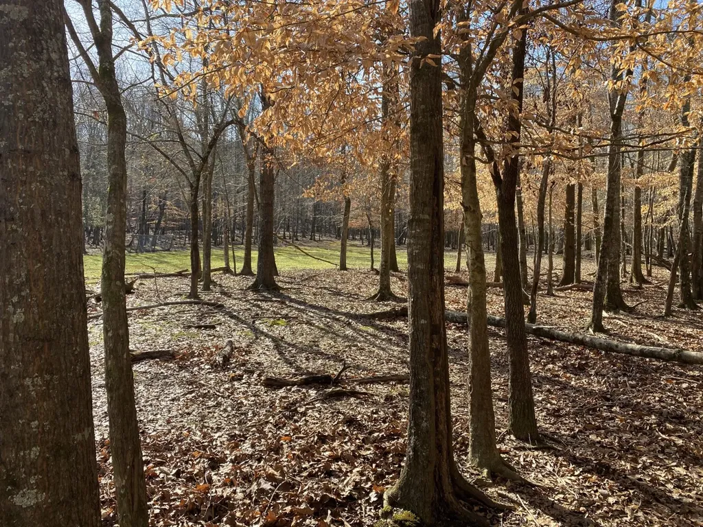 27550 Alabama 25 Wilsonville AL 35186